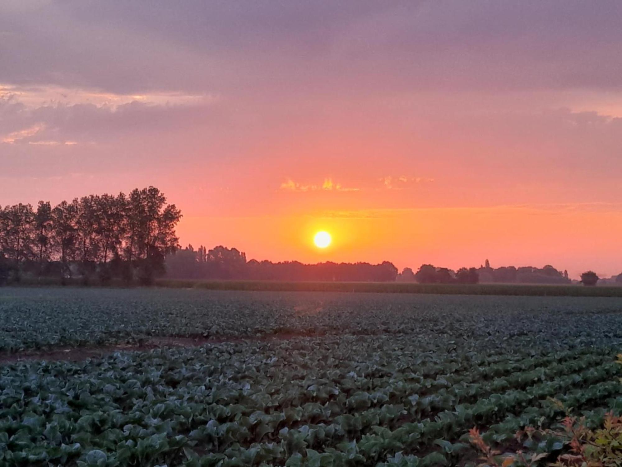 Vakantiehuis Schardauw Damme Buitenkant foto